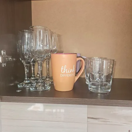 Apartment Mladost 1